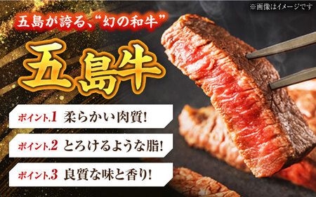 幻の五島牛ホルモン1kg（味付け無し） 五島市/ごとう農業協同組合[PAF030]  牛モツ モツ ホルモン 五島牛 和牛 長崎和牛 国産牛