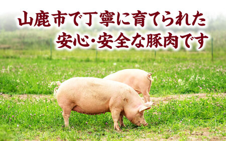 【12回定期便】豚ロースステーキ 約750g（約150g×5枚）【吉里精肉】[ZEW089]