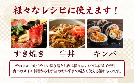 佐賀牛切り落とし 計6kg (500g×12回)