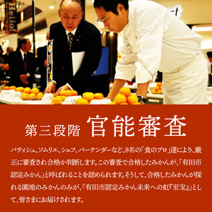 有田市認定みかん「未来への虹」至宝(3kg)【日本初自治体認定フルーツ】(B327-2)