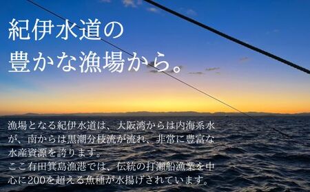 漁師の鮮魚箱（約3kg）(B889-3)