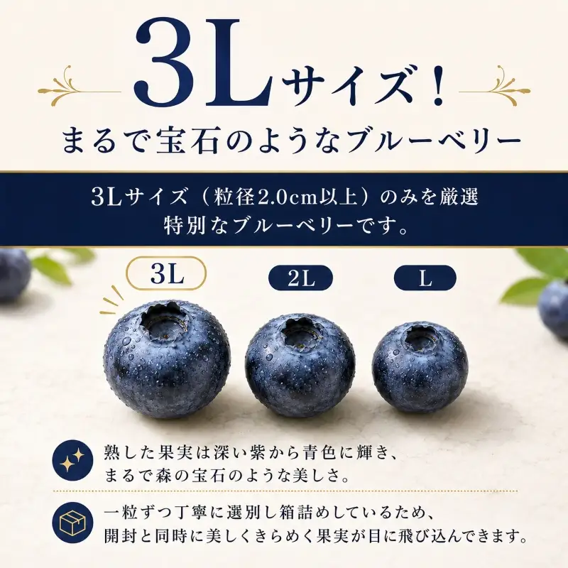 ブルーベリー 3Lサイズ 150g×5 大粒 生ブルーベリー 藤与果樹園 fujiyoB003
