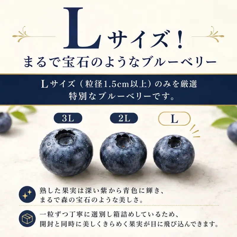 ブルーベリー Lサイズ 150g×5 大粒 生ブルーベリー 藤与果樹園 fujiyoB001