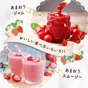 定期便全3回 福岡県産 あまおう 合計3000g 先行予約 2027年1月・2月・3月発送予定　BA008-3