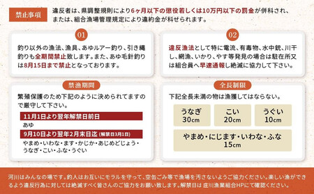 高山市荘川地区 遊漁証・日釣漁券(雑魚) 2名分 | 釣り 遊漁証 日釣り 荘川 庄川 庄川漁業協同組合 アウトドア 飛騨高山 桜の郷猿丸管理組合 NN009