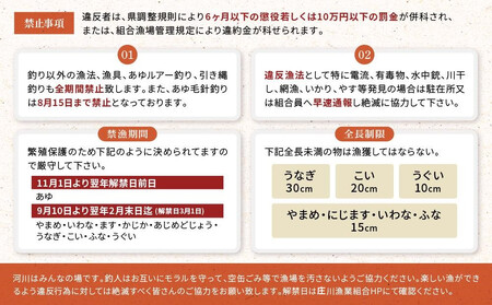 高山市荘川地区 遊漁証・年釣漁券(雑魚) (小)1名分 | 釣り 遊漁証 年釣り 荘川 庄川 庄川漁業協同組合 アウトドア 飛騨高山 桜の郷猿丸管理組合 NN015