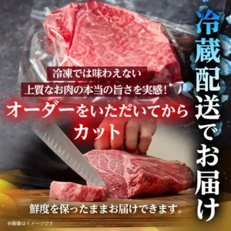 【毎月定期便】飛騨牛 ヒレ1本(約4～5kg)【シャトーブリアン＆ヒレ】冷蔵便全6回_肉 ステーキ 牛肉 ビーフステーキ  定期便 定期便  _【配送不可地域：離島】【4053254】