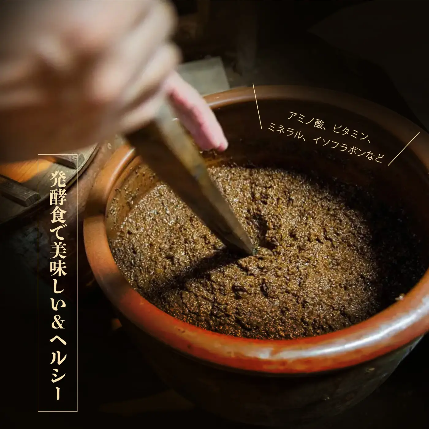 もろみ味噌 500g（竹筒入り）と250g（ケース入り）セット