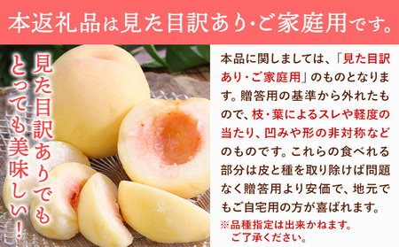 ご家庭用 旬の桃 約1.2kg (4~6玉前後) 株式会社創・和(雅桃園) 
