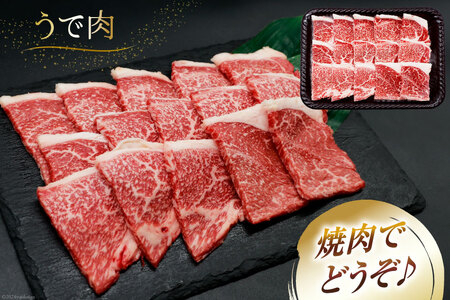 肉 牛肉 宮崎牛 牛うで肉 焼肉用 400g×3 計1.2kg [牛心フードサービス 宮崎県 美郷町 31bm0054]