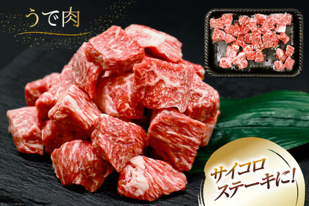 肉 牛肉 宮崎牛うで肉 サイコロカット 500g [牛心フードサービス 宮崎県 美郷町 31bm0058]