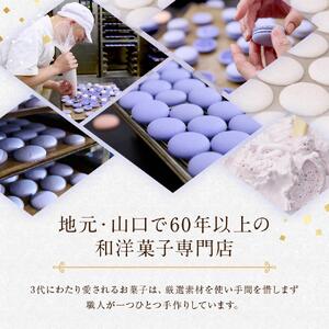 マカロン 25個入 天使がくれたマカロン お菓子