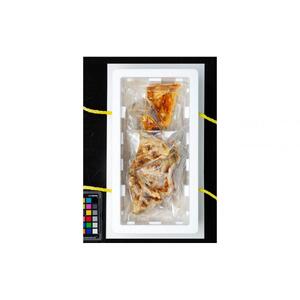 【数量限定】焼いときました！（レンチン）カンパチカマ１kg