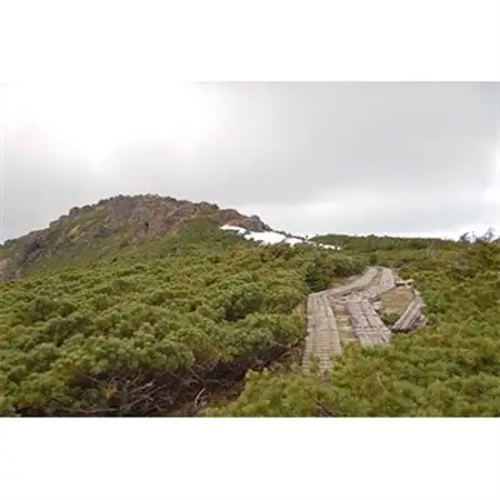 横沢温泉静峰苑「1泊3食付きペア宿泊券」+木の博物館チケット1名様_旅行券・チケット  入場券・優待券   旅行券・チケット 宿泊券  _【1097169】
