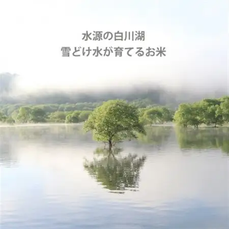 令和7年産 コンクール受賞農家直送 山形県産はえぬき10kg【浦田農園 むすび米】_ 精米 米    はえぬき 米 _【1522439】