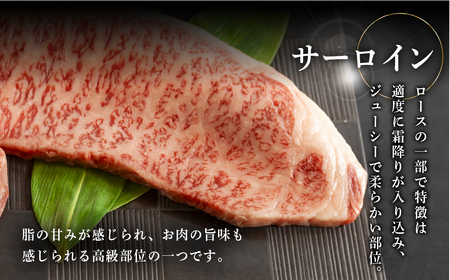 飛騨牛ステーキ2種セット（サーロイン 250g、ランプ 200g）各1枚【70-57】