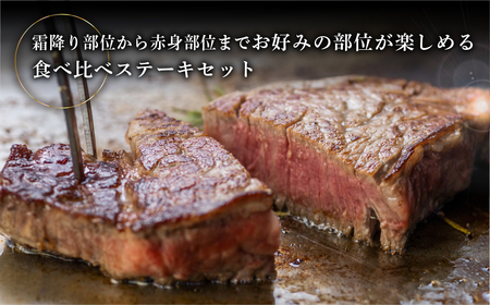 飛騨牛ステーキ3種セット（サーロイン 250g、イチボ 200g、ランプ 200g) 各1枚 【70-59】