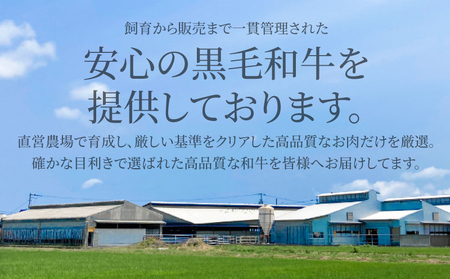 黒毛和牛 阿波牛 すき焼き 500g 国産 すき焼き