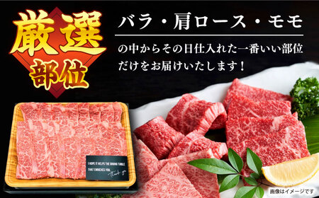 長崎和牛 焼肉用 500g CFT001 和牛 焼肉