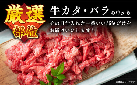 長崎和牛 牛肉切り落とし 500g 牛肉切り落とし CFT003