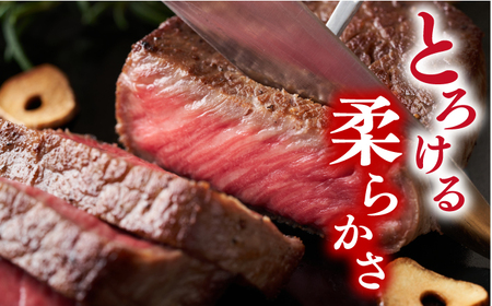 長崎和牛 モモステーキ 1kg CFT012 ステーキ