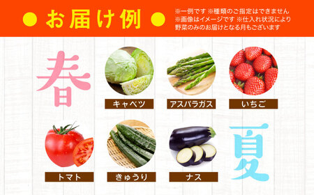 野菜定期便【12回定期便】野菜定期便（6種以上）[AGAP017]