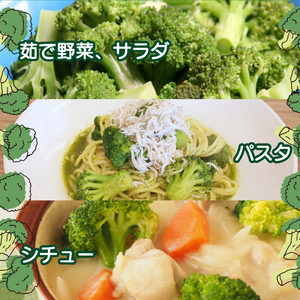茎 ブロッコリー 1kg IM004-z