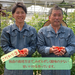 【2026年4月頃から順次発送】日高農園 水耕栽培 ミニトマト 3kg | トマト ミニトマト プチトマト 水耕栽培 トマト ミニトマト プチトマト 水耕栽培 トマト ミニトマト プチトマト 水耕栽培【HDK0013】