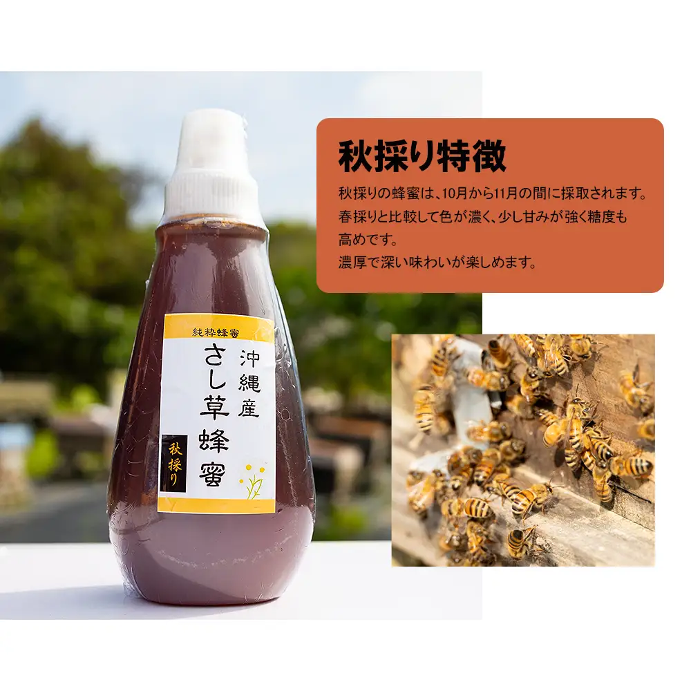 純粋蜂蜜　沖縄産　さし草蜂蜜　秋採り　500g×2本　南風原町採取