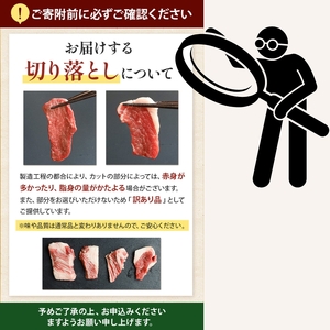 【訳あり品】宮崎牛 切り落とし  500g
