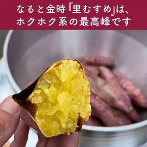 なると金時里むすめ コロッケ 300g（60g×5個）× 3袋　鳴門金時　さつまいも　惣菜　冷凍　コロッケ　