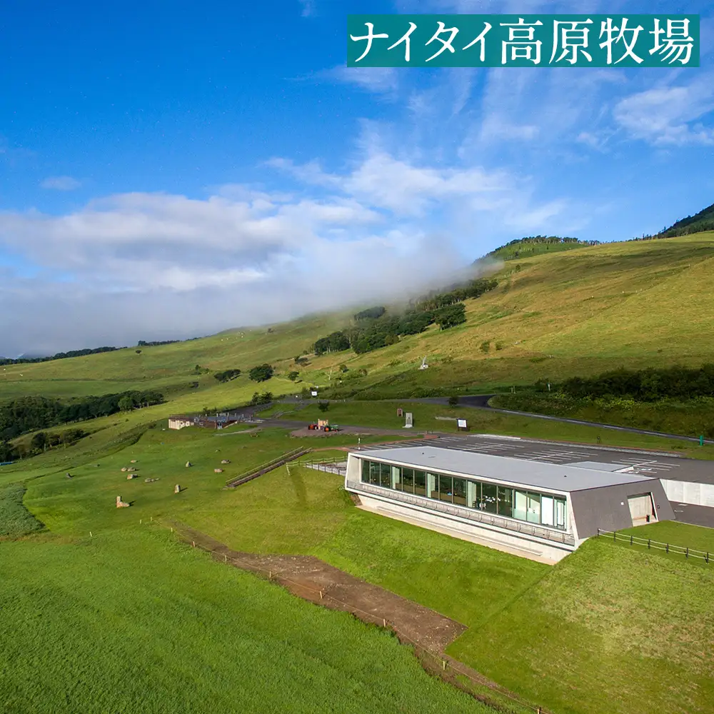上士幌・ぬかびら源泉郷 宿泊・体験クーポン 3,000円分 北海道 十勝 旅行 トラベル ホテル 旅館 旅行券 宿泊券 宿泊チケット アクティビティー