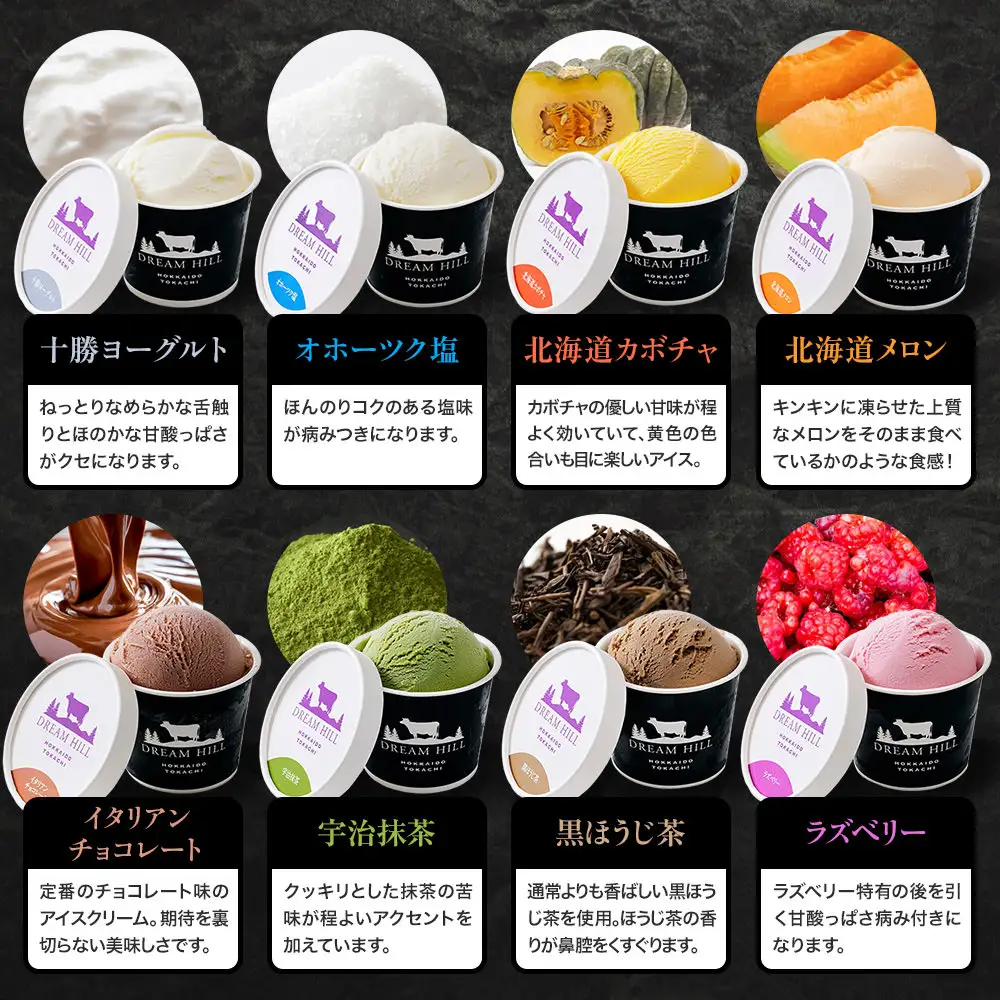 ドリームドルチェ よくばり アイス 100ml×14個（14種） A2ミルク製 卵不使用 北海道 牧場直送 スイーツ ジェラート アイスクリーム 詰め合わせ 人気 ギフト 贈答用 冷凍 ドリームヒル