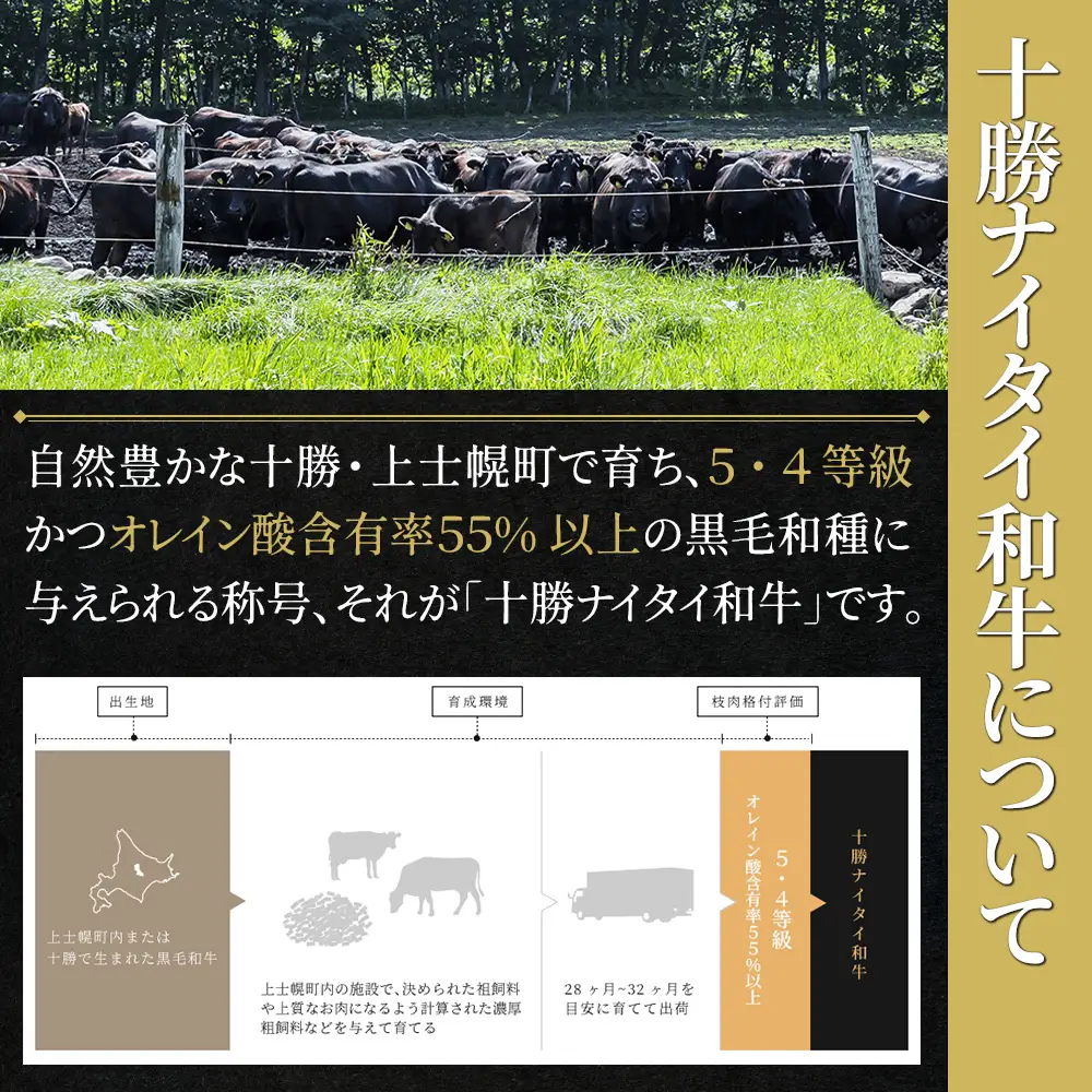 十勝ナイタイ和牛 100% ハンバーグ 120g×8個 高評価ハンバーグ 国産 北海道 牛 肉 牛肉 和牛 100% 5・4等級 黒毛和牛 人気 お取り寄せ ギフト 冷凍ハンバーグ