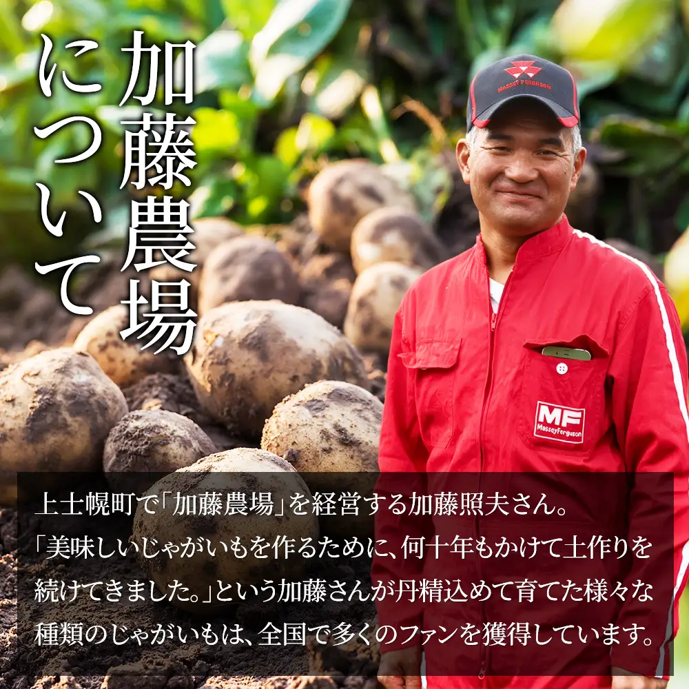 2026年産 先行予約 北海道産 インカのめざめ その他3種 じゃがいも 計10kg（2.5kg×4種） 上士幌町加藤農場 インカの目覚め 馬鈴薯 芋 イモ 野菜 詰め合わせ ◆2026年11月配送予定