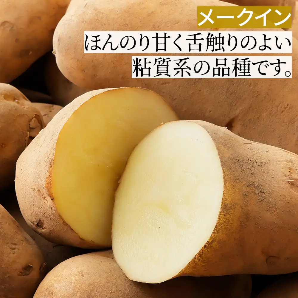 2026年産 先行予約 北海道産 越冬 インカのめざめ メークイン ごぼう セット 計9kg 北海道 上士幌町 西原農場 野菜 熟成 じゃがいも ジャガイモ インカ インカの目覚め 馬鈴薯 詰め合わせ 産地直送  ◆2027年02月配送