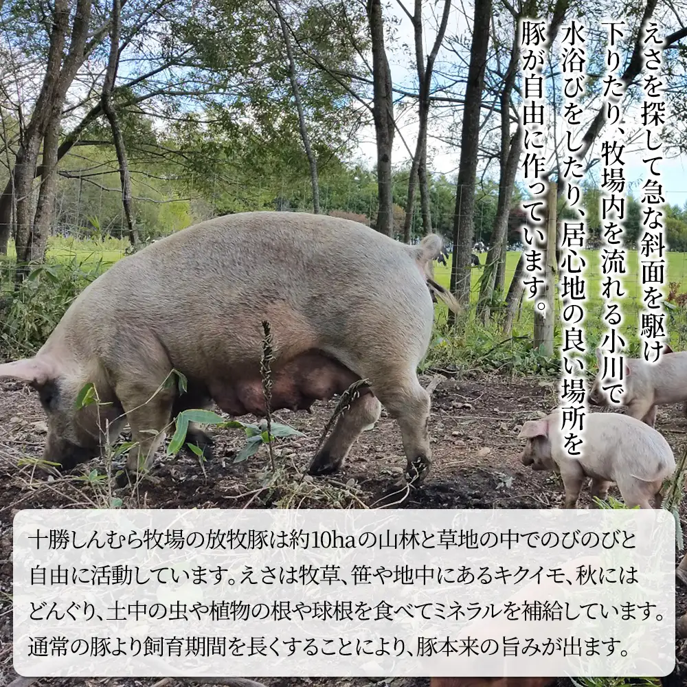 十勝しんむら牧場 放牧豚のハンバーグ 150g×10個 北海道産 豚肉 冷凍