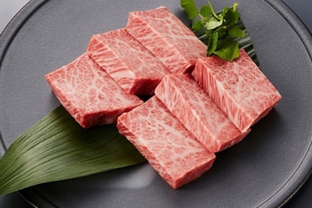 【京丹波・丹波牛】ステーキ満喫セット 【2026年1月中旬以降発送】 [069IZ001]
