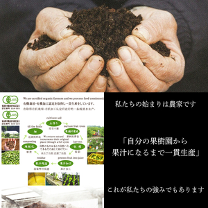 柑橘シロップ2種セット 【ゆずシロップ1本・すだち＆きゅうりシロップ1本】 ゆず すだち 炭酸割