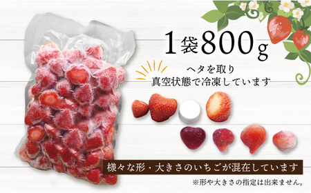 急速冷凍！人気のあまおう 冷凍いちご　福岡県特産品　大容量 1.6kg【JAほたるの里】_HA1513