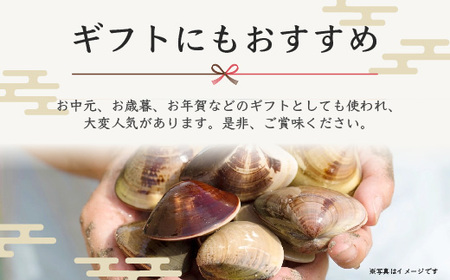 ＜3ヶ月毎月届く定期便!＞九十九里浜産活天然はまぐりサイズお任せ2kg入り SMBB005