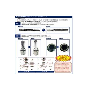 フラッシュワークス500mlx1本
