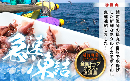 【解凍だけ】 越前町産 ボイル済 ホタルイカ 500g 急速凍結 冷凍 ほたるいか 全国トップクラス漁獲量【 日本海 福井県 海鮮 惣菜 6000円以下】 [e15-a052]