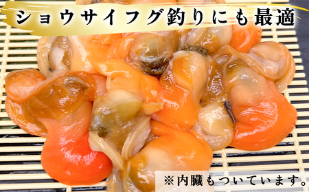 岬だより 【訳あり】青柳釣り餌用 150g×6袋セット [配送不可地域：離島]