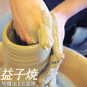 【栃木県共通返礼品・益子町産】益子焼　向山文也　象嵌釉彩境紋フリーカップ(白)