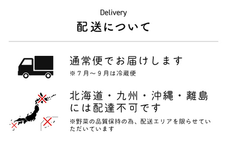 【3ヶ月 定期便】【栽培期間中農薬不使用】農家直送！「９品」季節の新鮮野菜詰め合わせセット AIBA FARM TML002 / 野菜セット 無農薬 野菜 千葉県 富里市 直送野菜 お野菜セット 旬野菜 季節野菜 農家直送 採れたて とれたて やさい 詰め合わせ セット ヤサイ 旬の野菜 季節の野菜 産地直送 詰め合わせ おまかせ 新鮮 農薬不使用