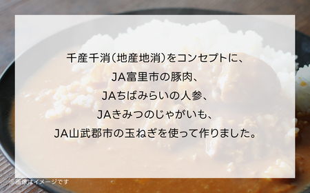 千葉産直情熱カレー10袋セット(中辛5個・辛口5個）レトルトポークカレー TMF007 / レトルトポークカレー カレー かれー curry ポークカレー レトルト レトルトポークカレー 10袋 セット 贅沢 ボリューム 地産地消 JA富里 農協 ちば 千葉県産とみさと 富里 富里市