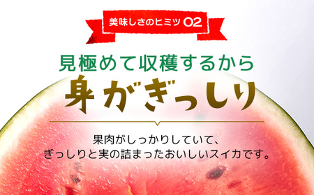 【数量限定】富里スイカ(Lサイズ6～7kg)1玉  すいか スイカ 西瓜 千葉県 富里市 果物 フルーツ 採れたて とれたて 産地直送 農家直送 千葉県産 ちば 千葉すいか 千葉スイカ 富里 富里すいか 富里スイカ 甘い あまい 美味しい おいしい 大玉 大玉すいか 大玉スイカ TMF005 