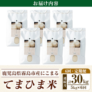 K-198-F 【6回定期便】令和7年産 てまひま米(品種:にこまる)(計30kg：5kg×6回)【末蜜農園】霧島市 お米 精米 白米 米 こめ コメ ご飯 ごはん 定期便 栽培期間中農薬不使用