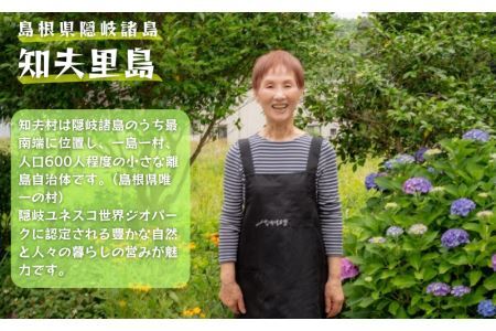 【ちぶり島さざえコロッケ&めかぶコロッケ(6個入り×2袋)】めかぶ サザエ コロッケ ごほうび ごちそう 美味しい パーティー おもてなし 人気 簡単 時短 タイムパフォーマンス 小分け 冷凍 隠岐 知夫里島